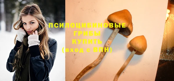 MESCALINE Новодвинск