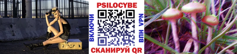 купить наркоту Челябинск Галлюциногенные грибы Psilocybe
