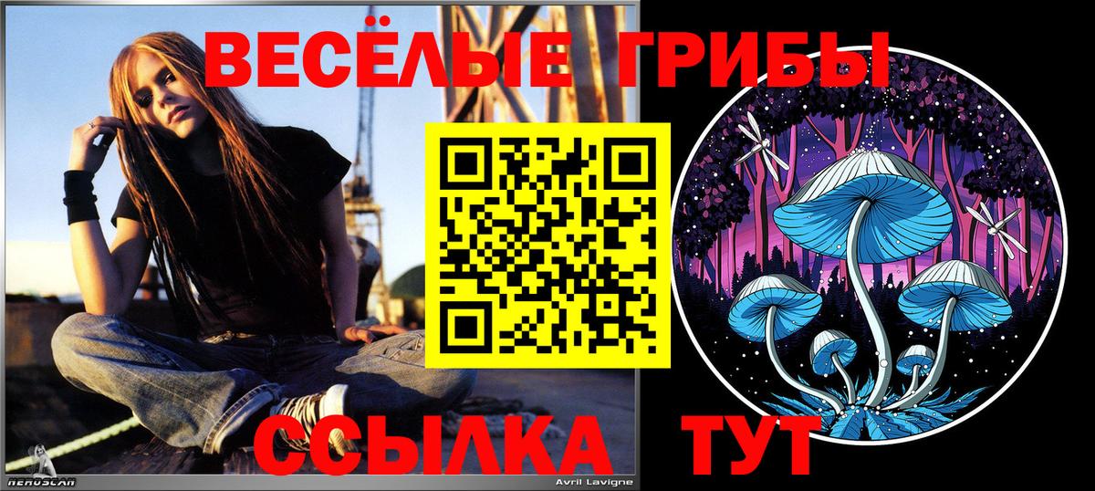 Псилоцибиновые грибы GOLDEN TEACHER  Челябинск 