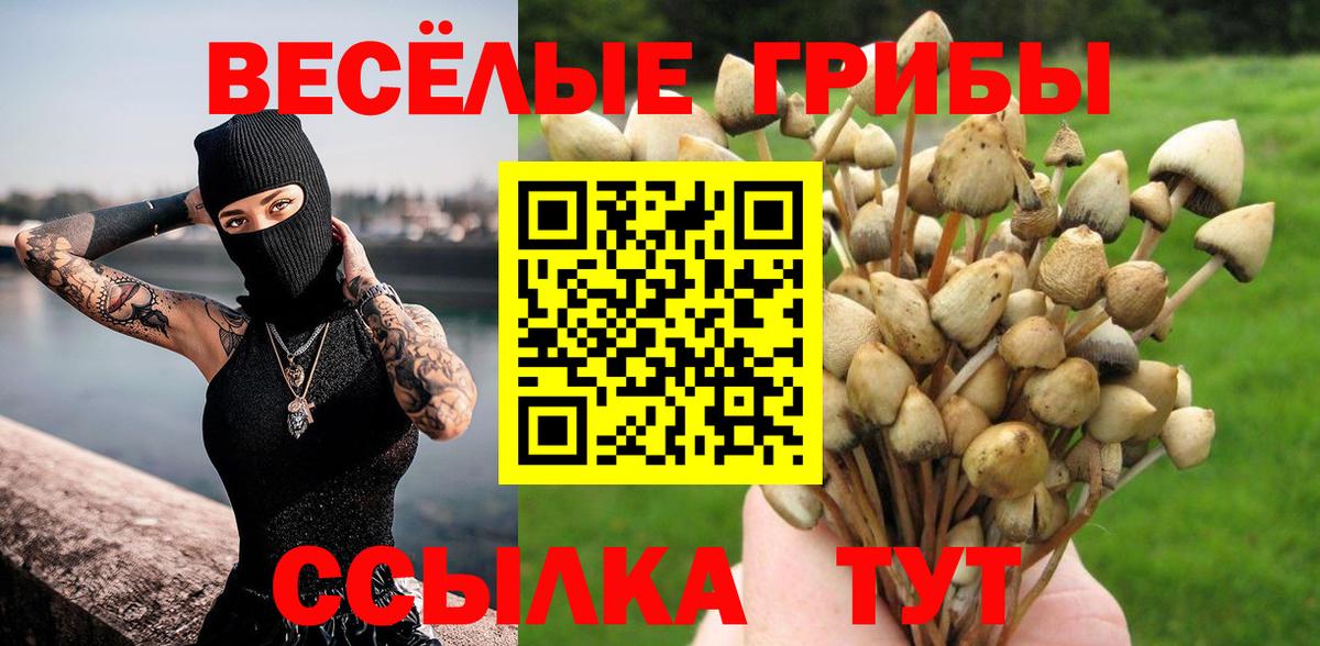 Псилоцибиновые грибы Magic Shrooms Челябинск